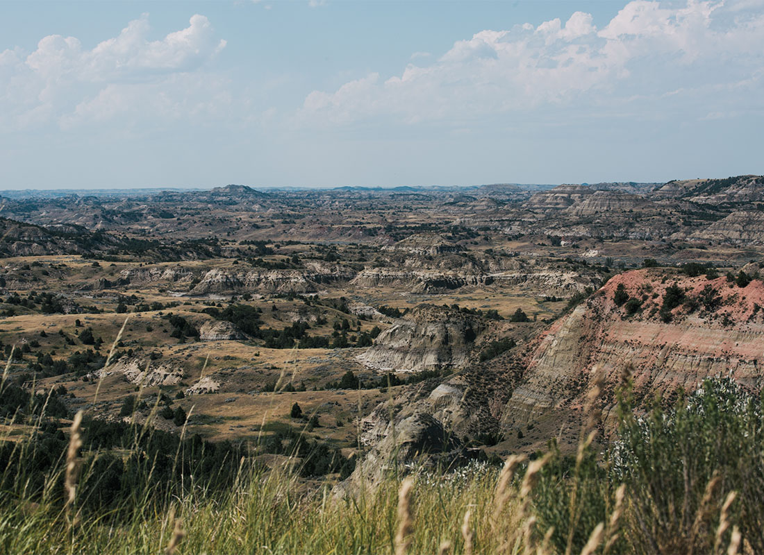 Contact - Scenic View of Rock Formations and Mountains Against a Cloudy Blue Sky with a Closeup View of Wild Grass in North Dakota